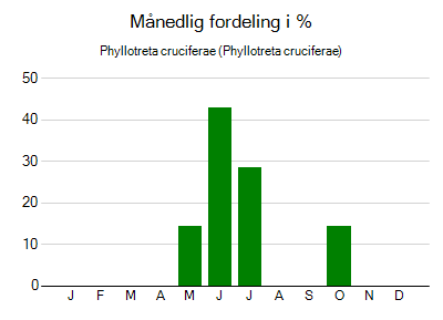 Phyllotreta cruciferae - månedlig fordeling