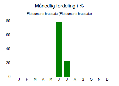 Plateumaris braccata - månedlig fordeling