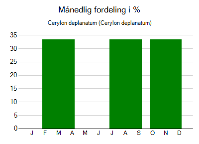 Cerylon deplanatum - månedlig fordeling
