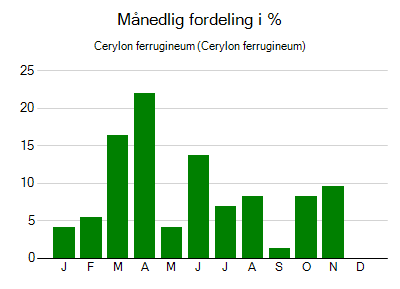 Cerylon ferrugineum - månedlig fordeling