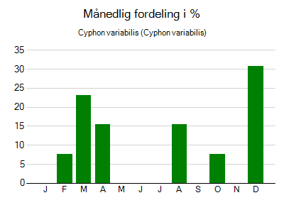 Cyphon variabilis - månedlig fordeling
