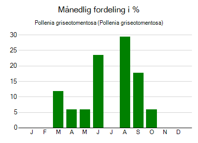 Pollenia griseotomentosa - månedlig fordeling