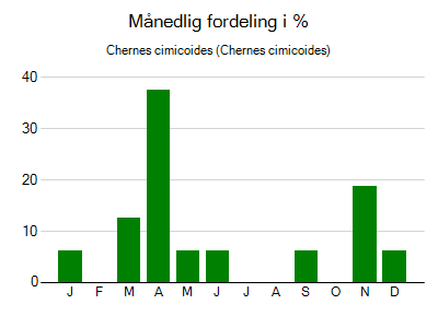 Chernes cimicoides - månedlig fordeling