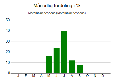 Morellia aenescens - månedlig fordeling