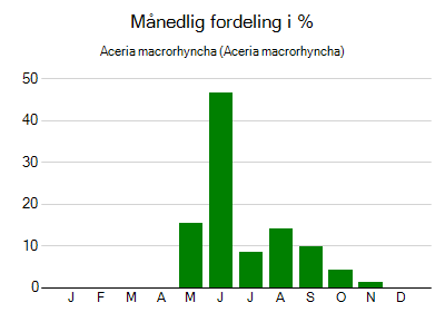 Aceria macrorhyncha - månedlig fordeling