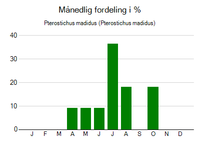 Pterostichus madidus - månedlig fordeling