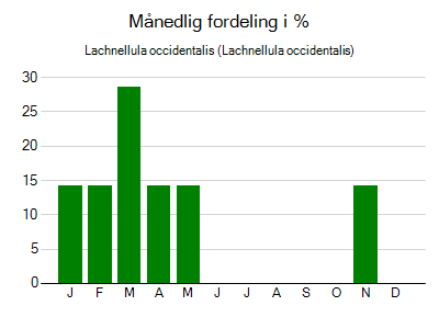 Lachnellula occidentalis - månedlig fordeling