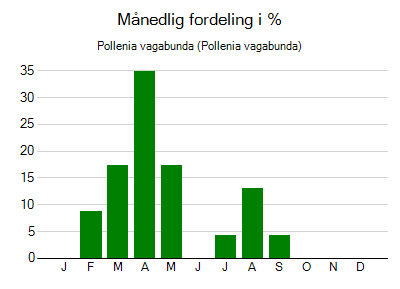 Pollenia vagabunda - månedlig fordeling