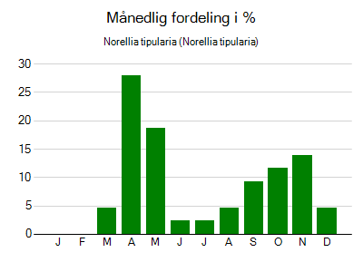 Norellia tipularia - månedlig fordeling