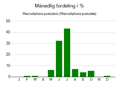 Macrodiplosis pustularis - månedlig fordeling
