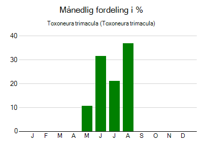 Toxoneura trimacula - månedlig fordeling