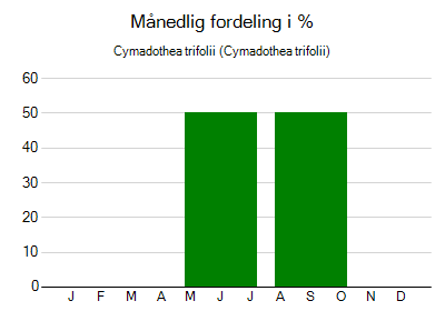 Cymadothea trifolii - månedlig fordeling