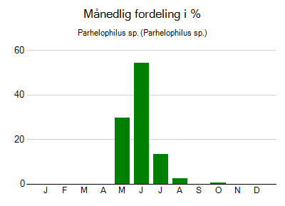 Parhelophilus sp. - månedlig fordeling