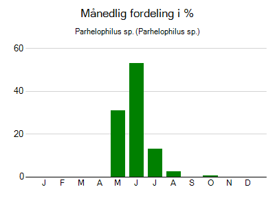 Parhelophilus sp. - månedlig fordeling