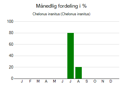 Chelonus inanitus - månedlig fordeling
