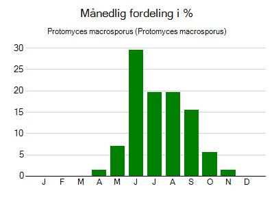 Protomyces macrosporus - månedlig fordeling