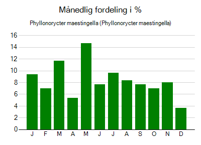 Phyllonorycter maestingella - månedlig fordeling