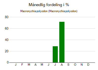 Macronychia polyodon - månedlig fordeling
