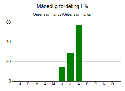 Oebalia cylindrica - månedlig fordeling