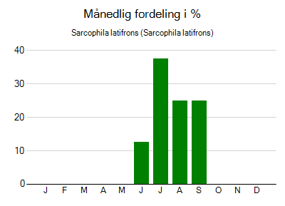 Sarcophila latifrons - månedlig fordeling