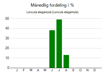 Loricula elegantula - månedlig fordeling