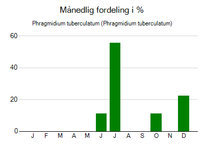 Phragmidium tuberculatum - månedlig fordeling