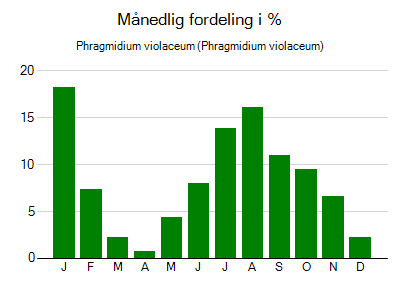 Phragmidium violaceum - månedlig fordeling