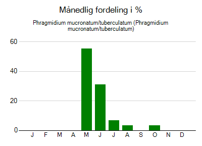 Phragmidium mucronatum/tuberculatum - månedlig fordeling