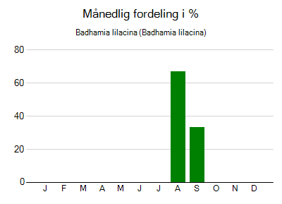 Badhamia lilacina - månedlig fordeling