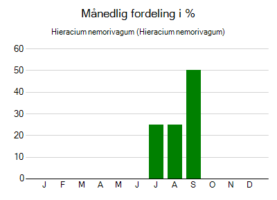 Hieracium nemorivagum - månedlig fordeling