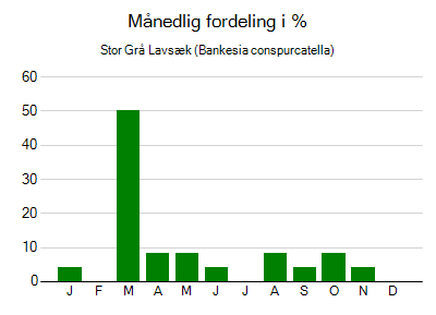 Stor Grå Lavsæk - månedlig fordeling