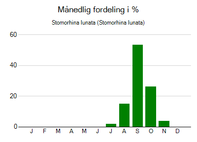Stomorhina lunata - månedlig fordeling