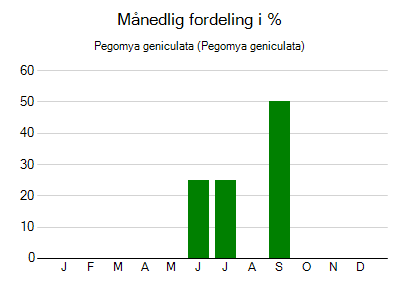 Pegomya geniculata - månedlig fordeling