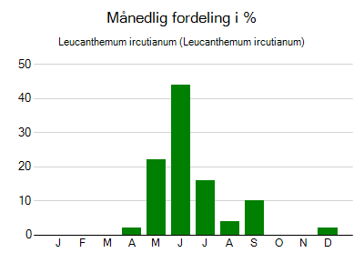 Leucanthemum ircutianum - månedlig fordeling