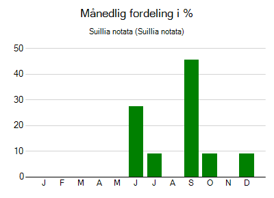 Suillia notata - månedlig fordeling