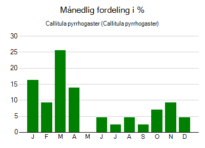 Callitula pyrrhogaster - månedlig fordeling