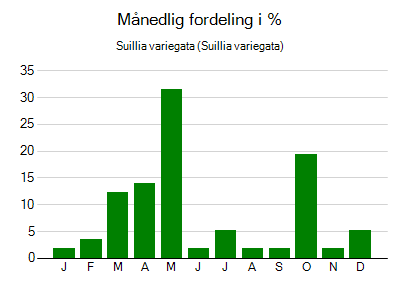 Suillia variegata - månedlig fordeling