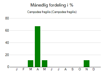 Campodea fragilis - månedlig fordeling