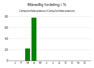 Campylocheta praecox - månedlig fordeling