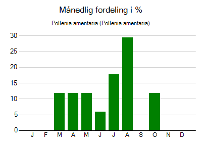 Pollenia amentaria - månedlig fordeling