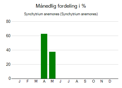 Synchytrium anemones - månedlig fordeling