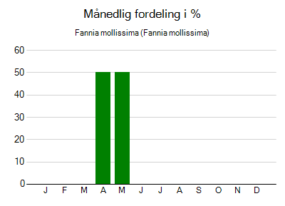 Fannia mollissima - månedlig fordeling