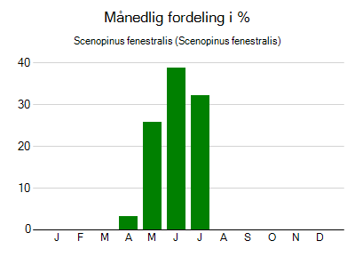 Scenopinus fenestralis - månedlig fordeling