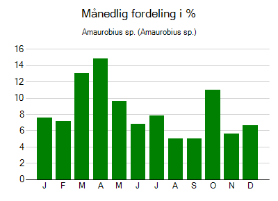Amaurobius sp. - månedlig fordeling