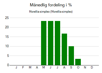 Morellia simplex - månedlig fordeling