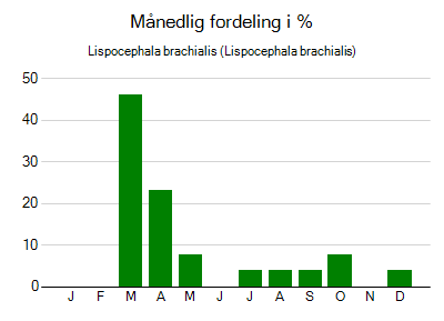Lispocephala brachialis - månedlig fordeling