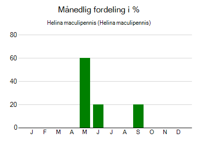 Helina maculipennis - månedlig fordeling