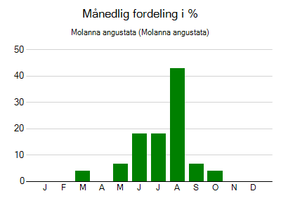 Molanna angustata - månedlig fordeling