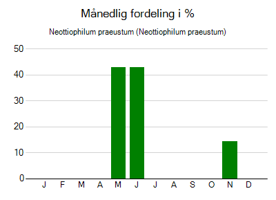 Neottiophilum praeustum - månedlig fordeling