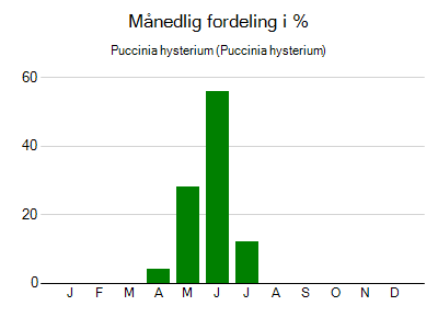 Puccinia hysterium - månedlig fordeling